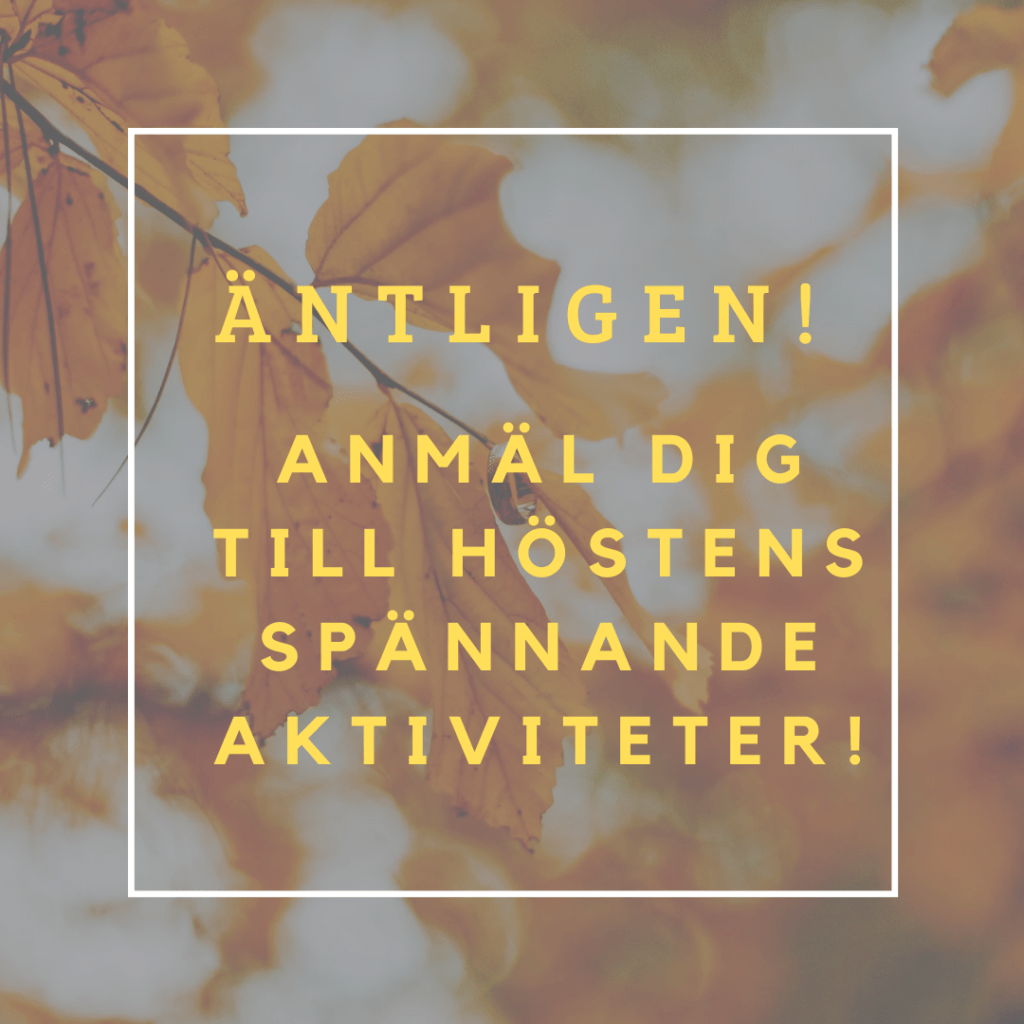 Samtal och vägledning i Helsingborg